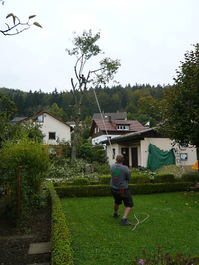 Bild3 Galerie
