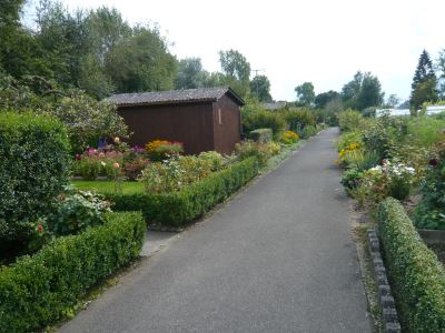 Bild22 Galerie